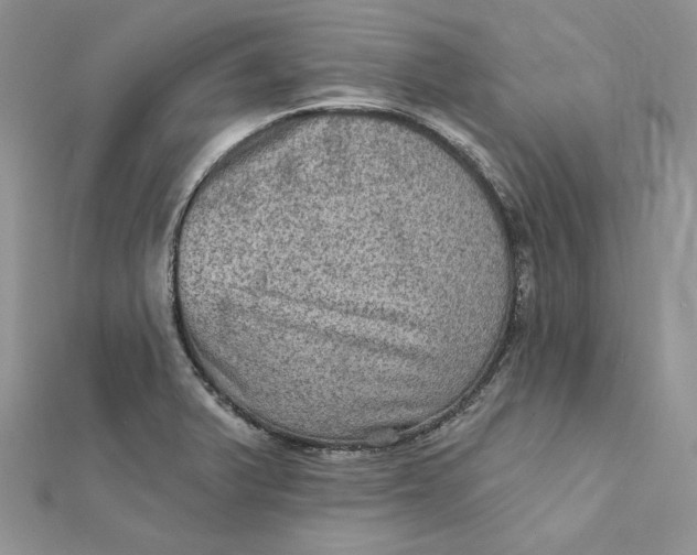 X0000112351375200909031840