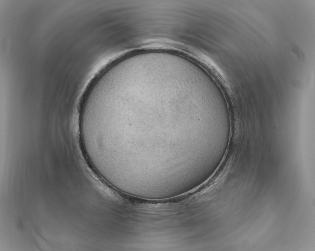 X0000112351376200909031840