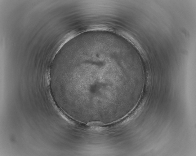 X0000112351377200909031840