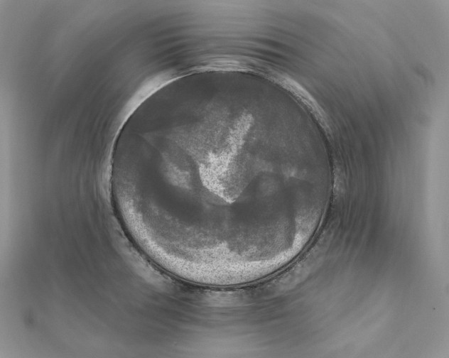 X0000112351378200909031840