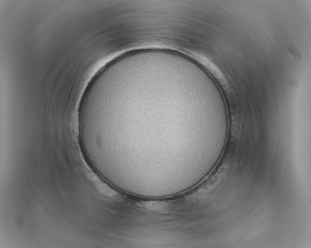 X0000112351380200909031840