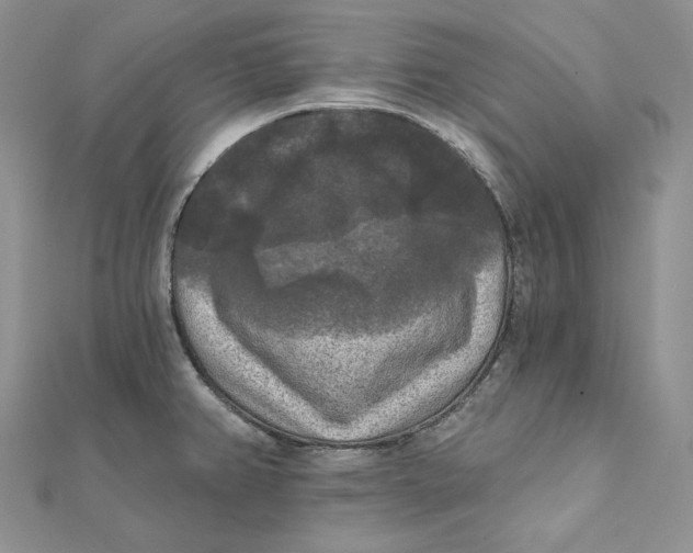 X0000112351382200909031840