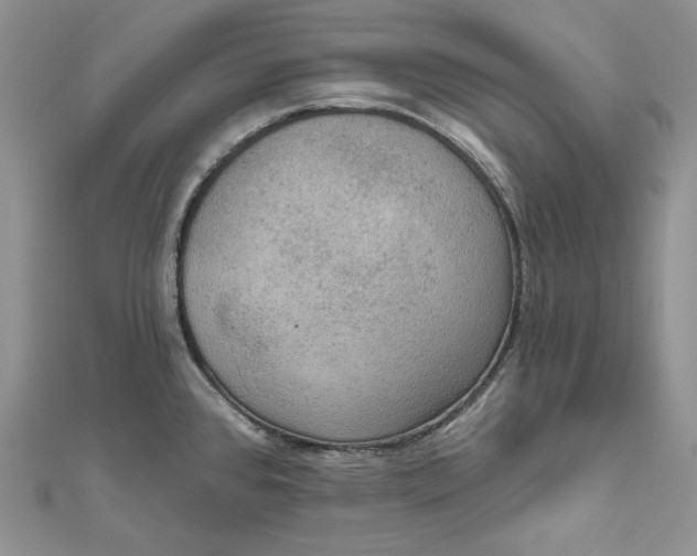 X0000112351384200909031840