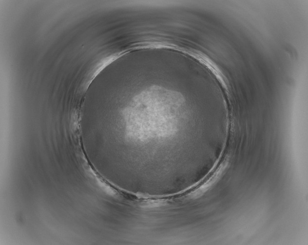 X0000112351385200909031840