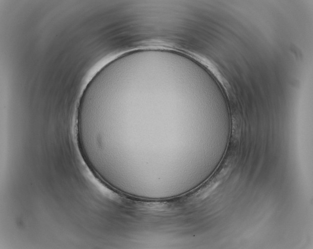 X0000112351387200909031840