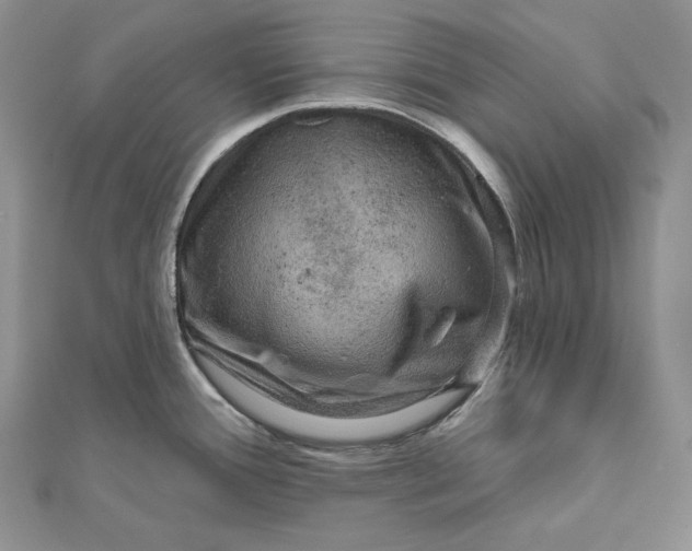 X0000112351388200909031840