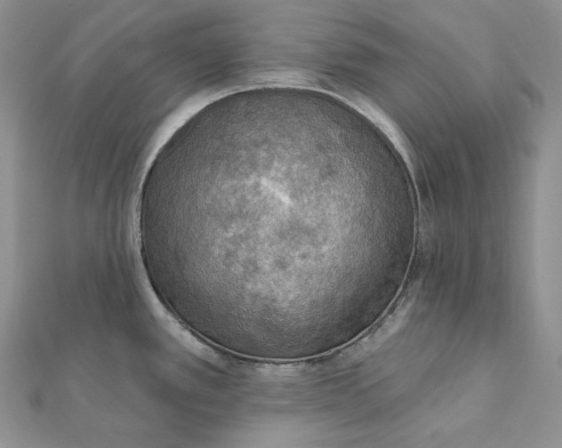 X0000112351389200909031840