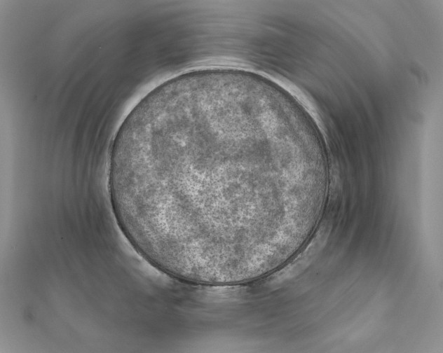 X0000112351390200909031840