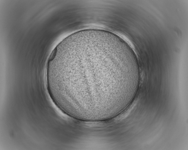 X0000112351391200909031840