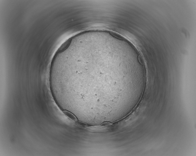 X0000112351392200909031840