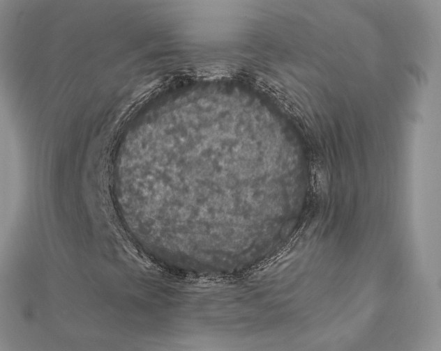 X0000112351393200909031839