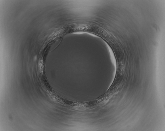 X0000112351394200909031839