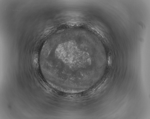 X0000112351396200909031839