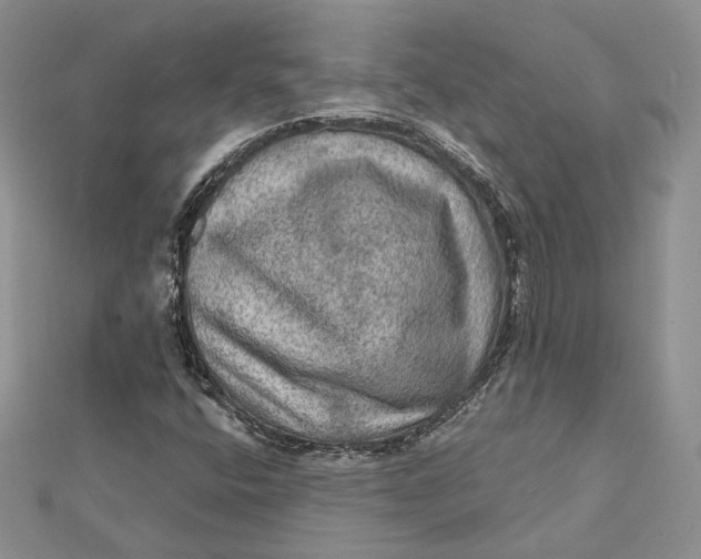 X0000112351400200909031839