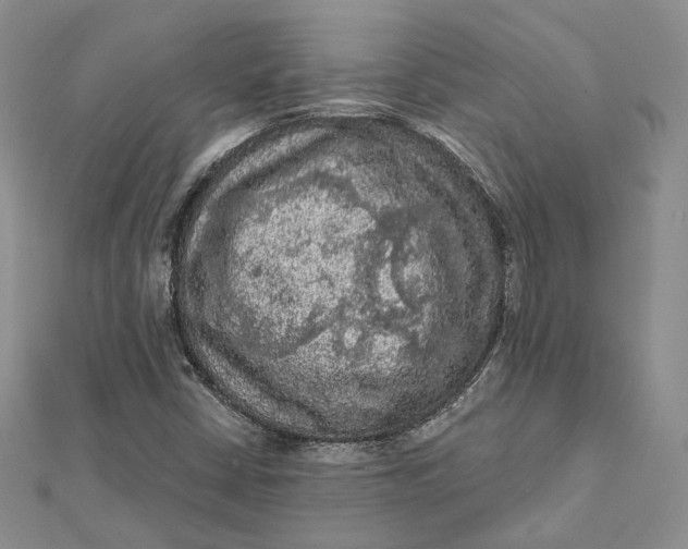 X0000112351402200909031839