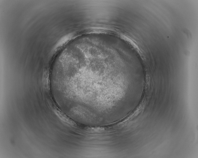 X0000112351403200909031839