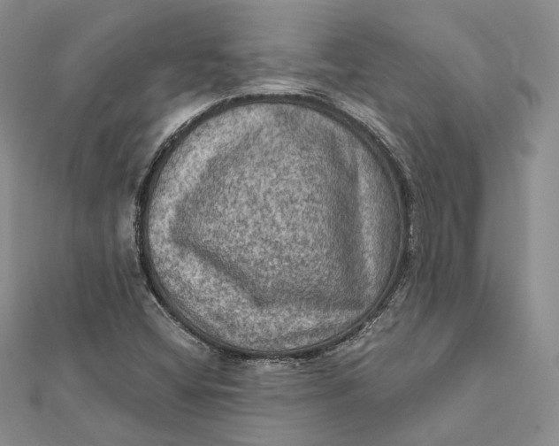 X0000112351404200909031839