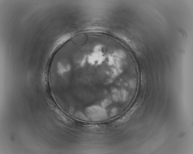 X0000112351405200909031839