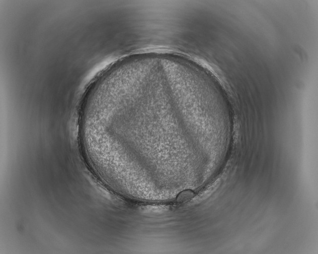 X0000112351406200909031839