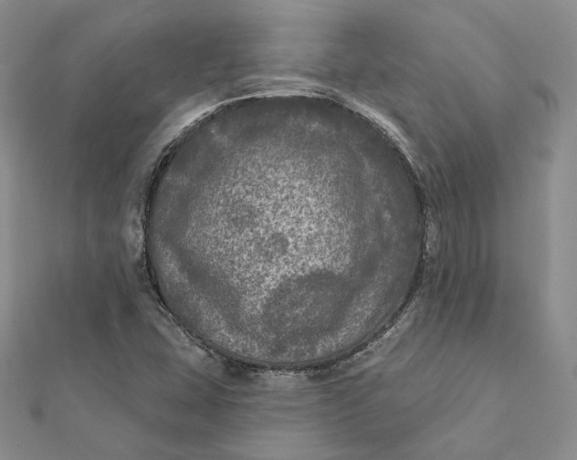 X0000112351407200909031839