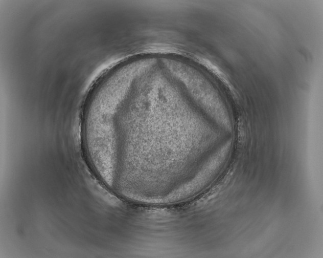 X0000112351408200909031839