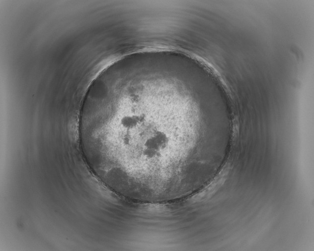 X0000112351409200909031839