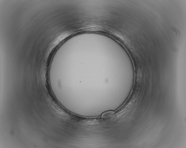 X0000112351410200909031839