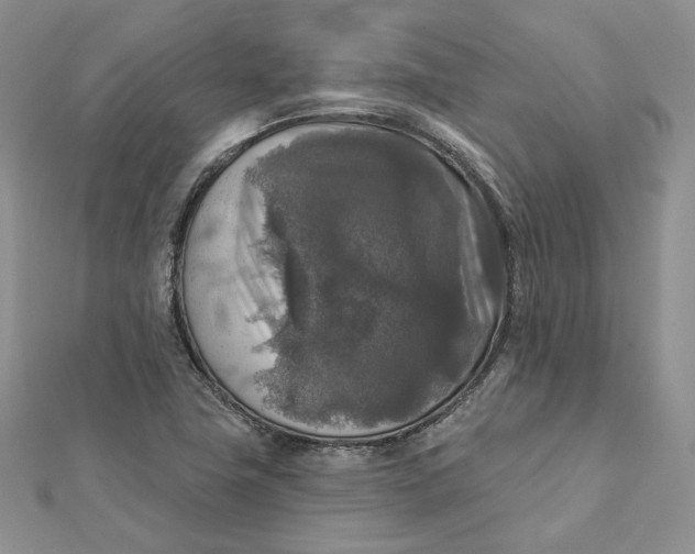 X0000112351411200909031839