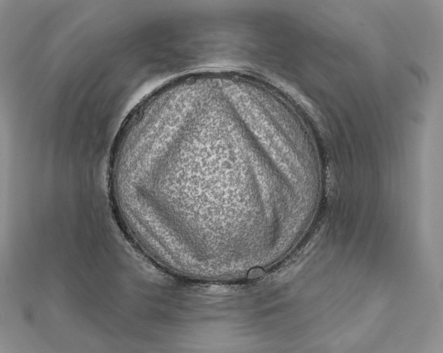 X0000112351412200909031839