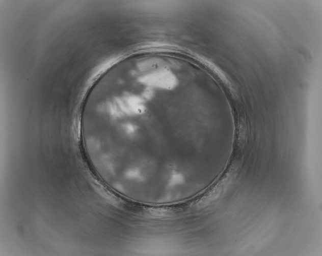 X0000112351413200909031839