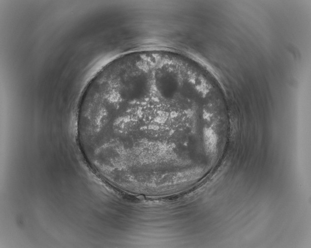 X0000112351415200909031839