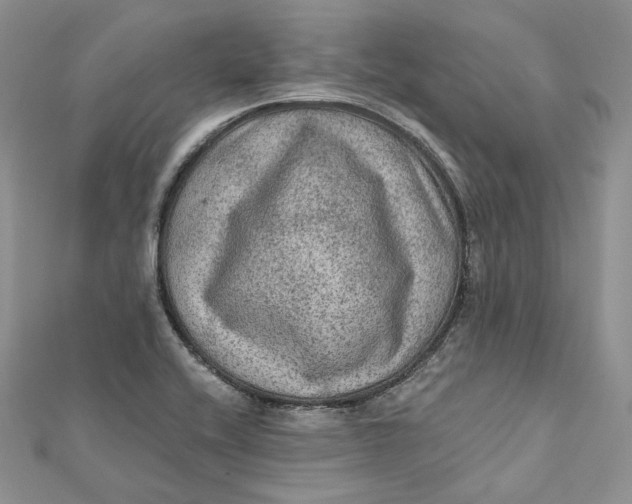 X0000112351416200909031839