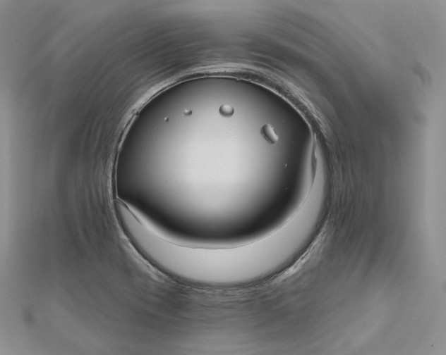 X0000112351417200909031839