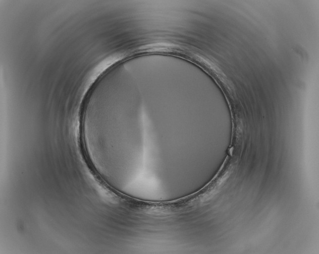 X0000112351418200909031839