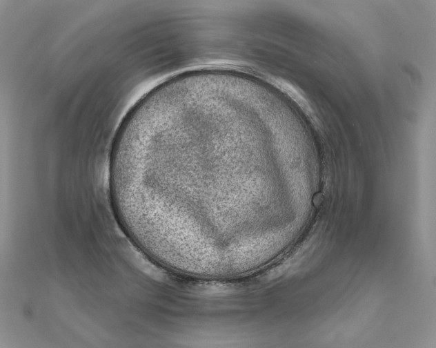 X0000112351420200909031839