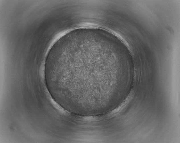 X0000112351421200909031839