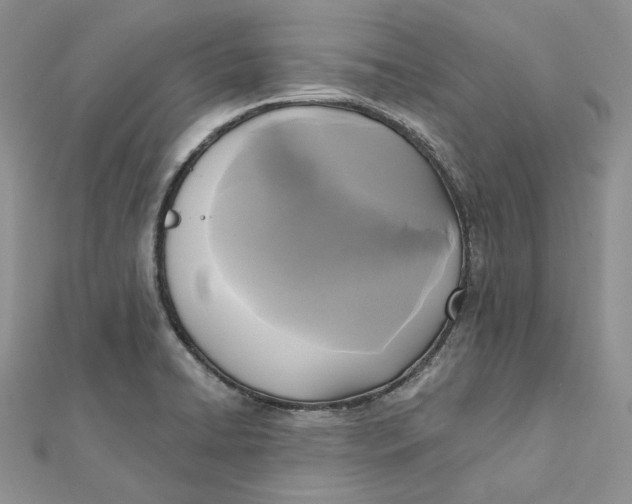 X0000112351422200909031839