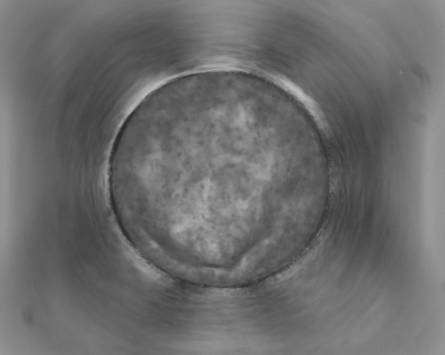 X0000112351423200909031839