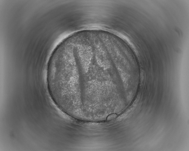 X0000112351424200909031839