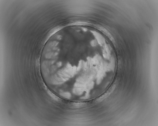 X0000112351425200909031839