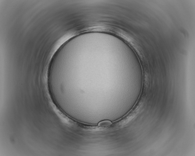 X0000112351426200909031839