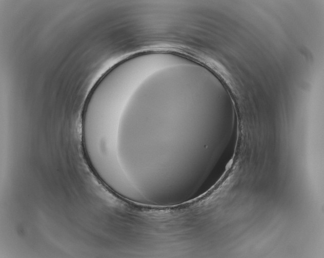 X0000112351428200909031839