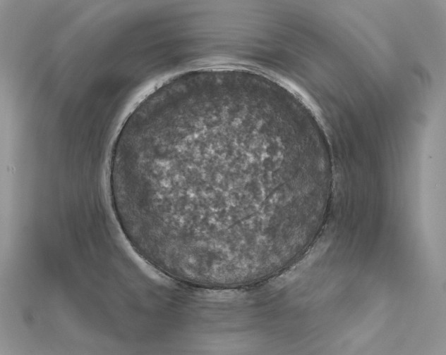 X0000112351429200909031839