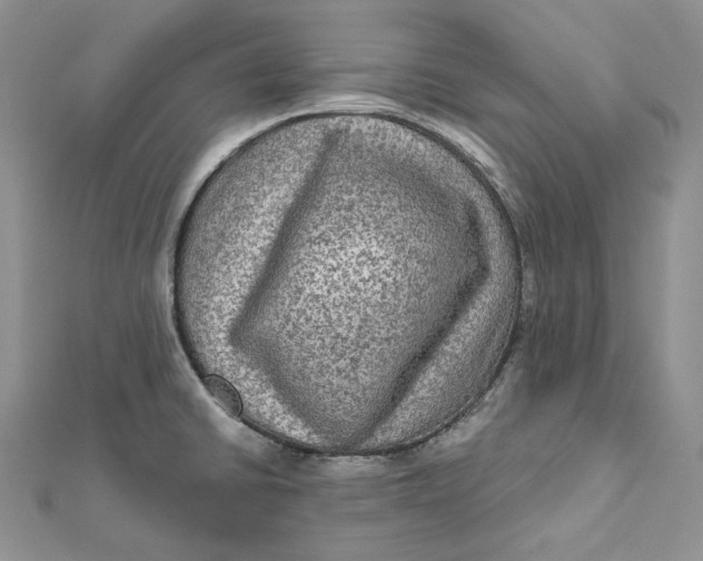 X0000112351430200909031839