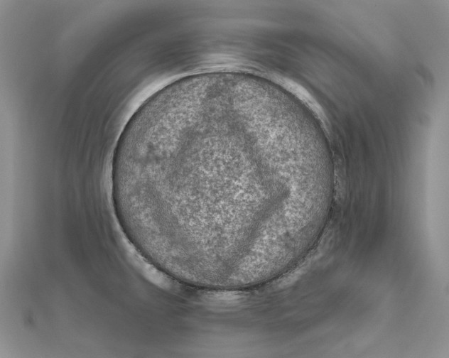 X0000112351431200909031840