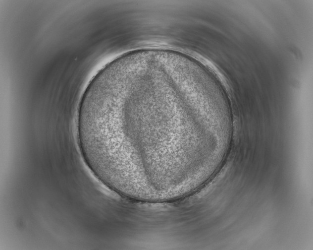 X0000112351432200909031840