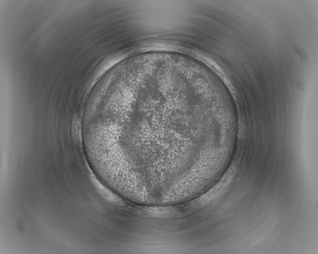 X0000112351433200909031840