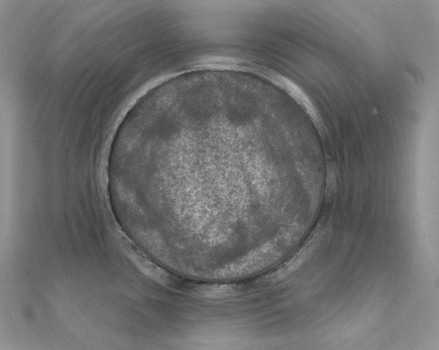 X0000112351435200909031840