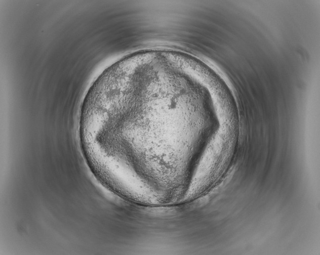 X0000112351437200909031840