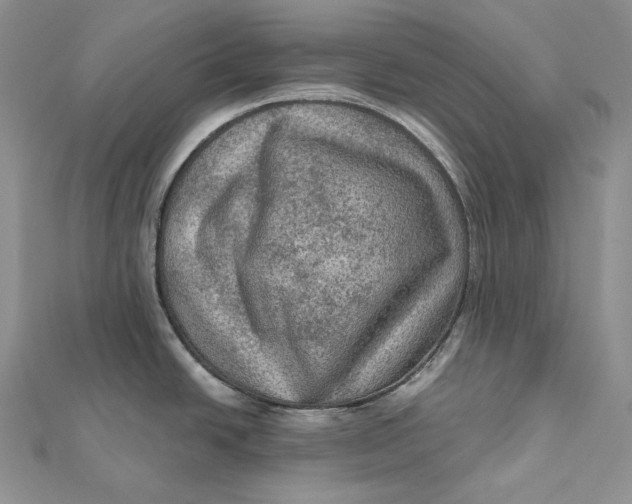 X0000112351438200909031840